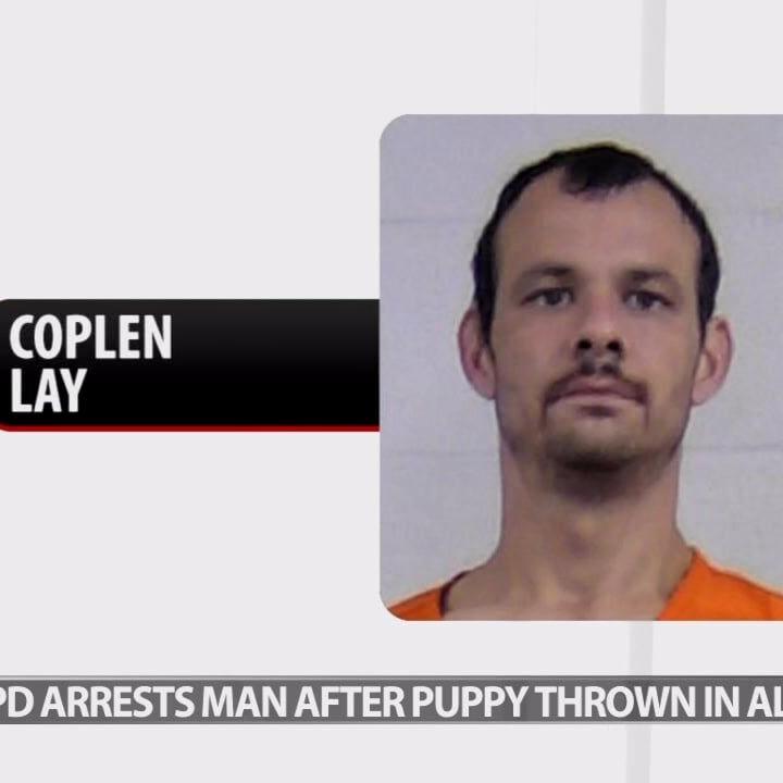 LMPD arrests man after puppy thrown in alley